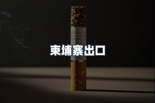 柬埔寨出口
